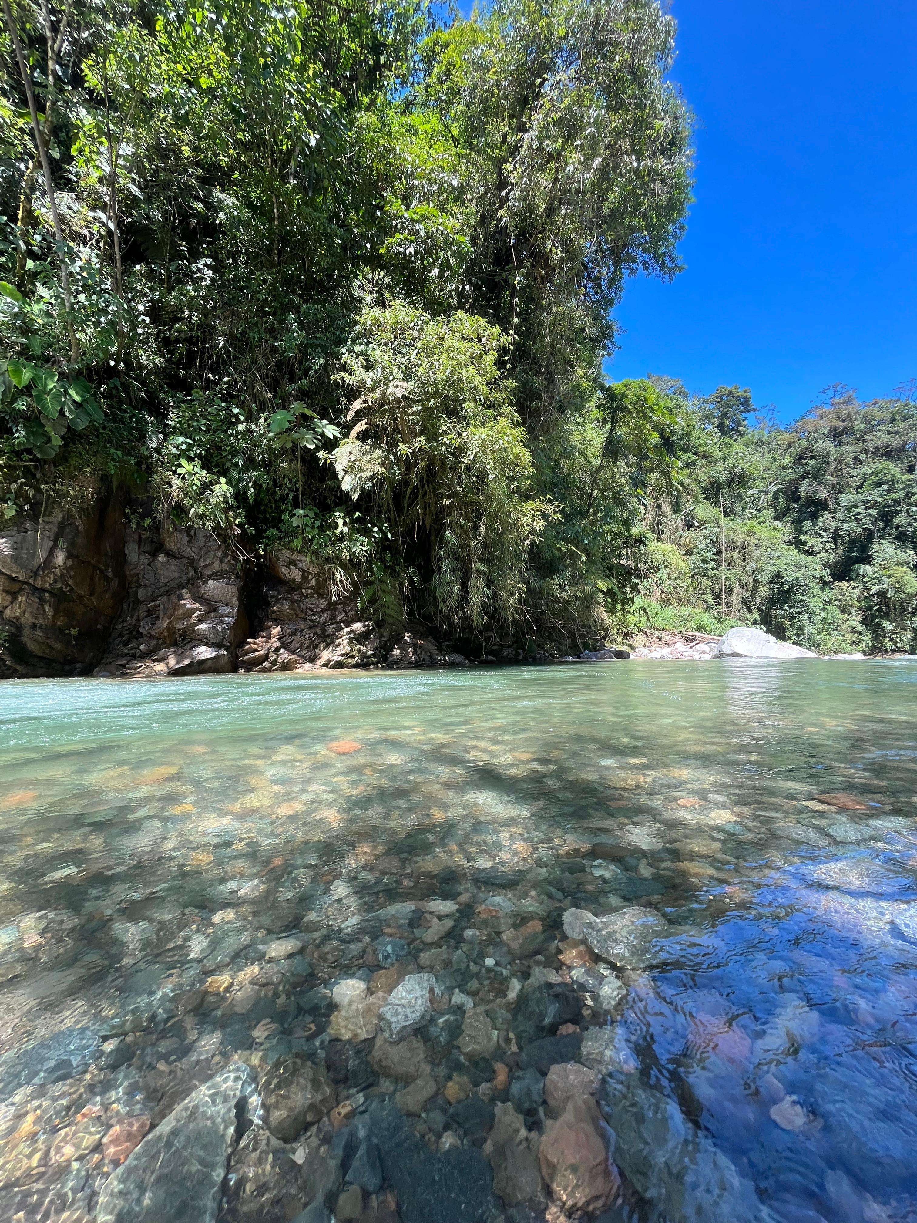 This image for Image Layouts addon